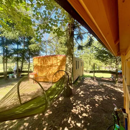 Igły I Szyszki Zimna Woda (Szczytno County)