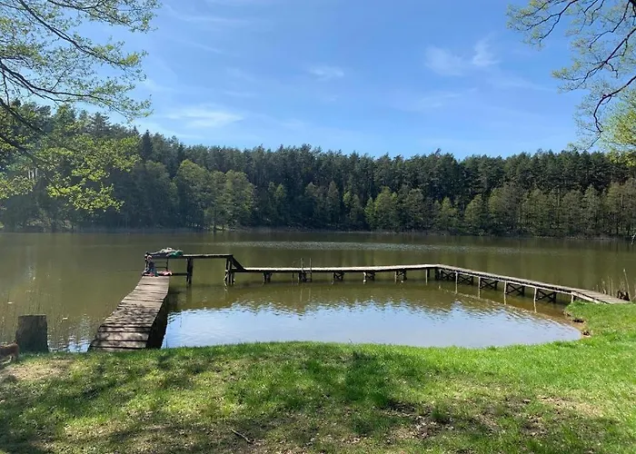 Igły I Szyszki Kemping *