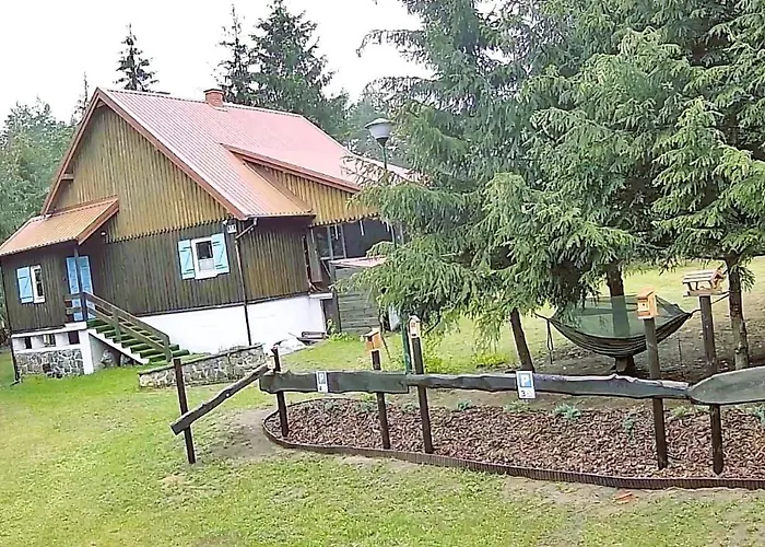 Kemping Igły I Szyszki