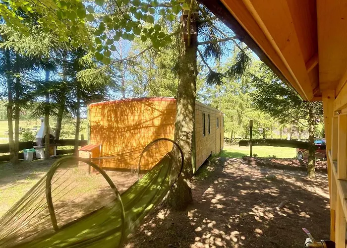 Igły I Szyszki Zimna Woda (Szczytno County)