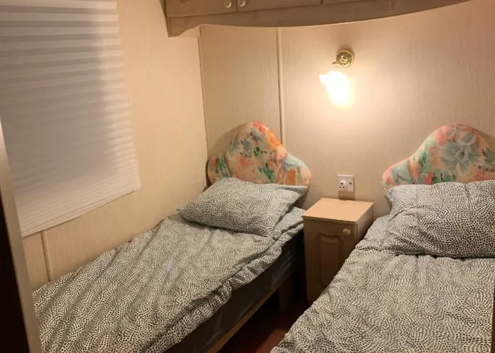 Kemping Igły I Szyszki *