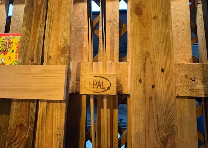 Igły I Szyszki Zimna Woda (Szczytno County)